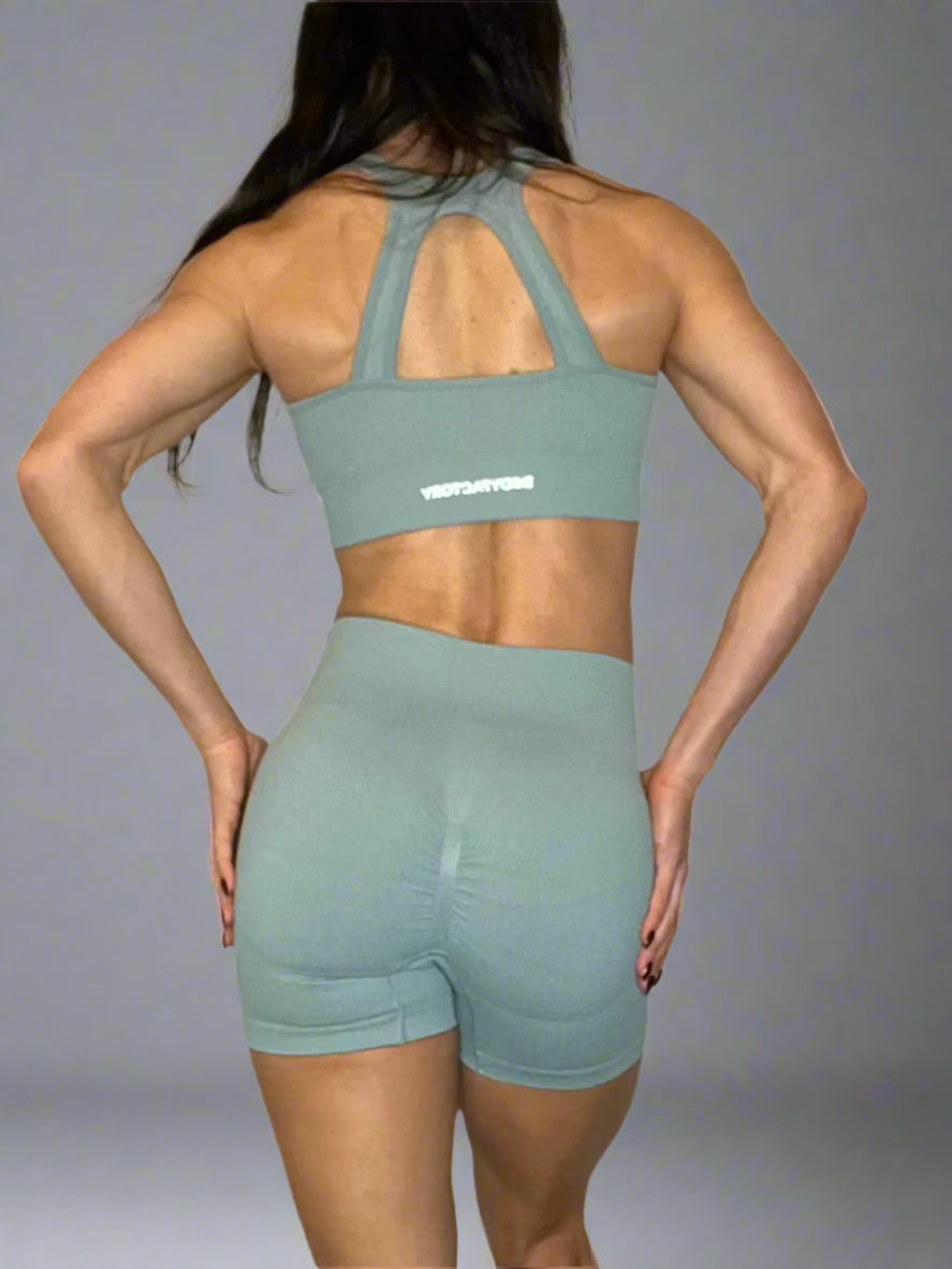 Isabel Seamless Butt Lifting Shorts